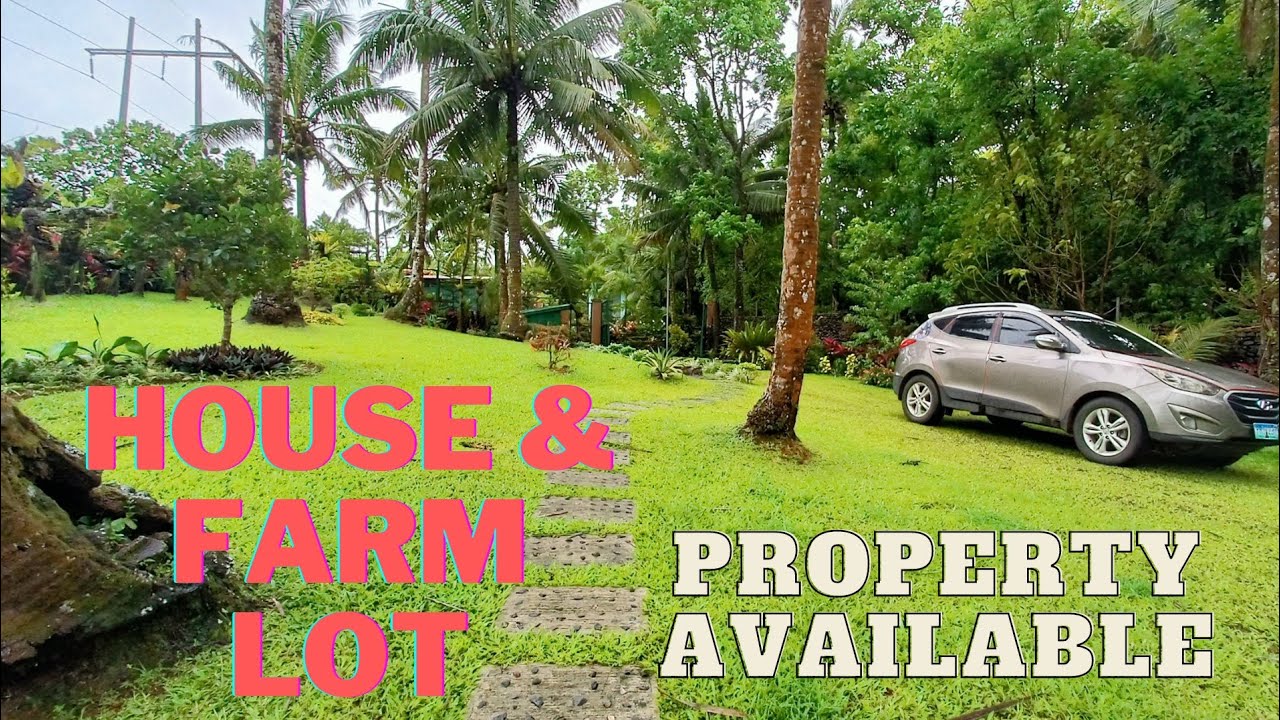 #vlog107 House & Farm Lot (2nd Part of Video)