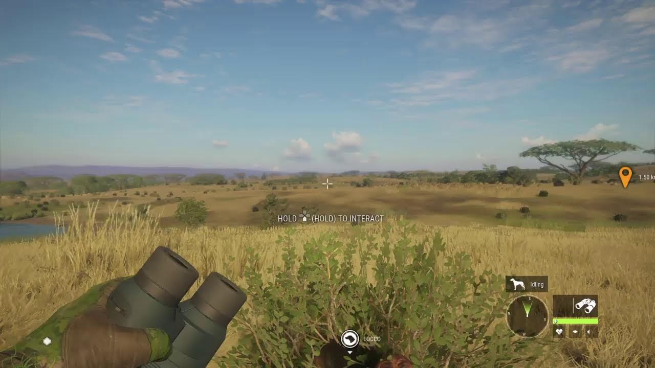 Hunting