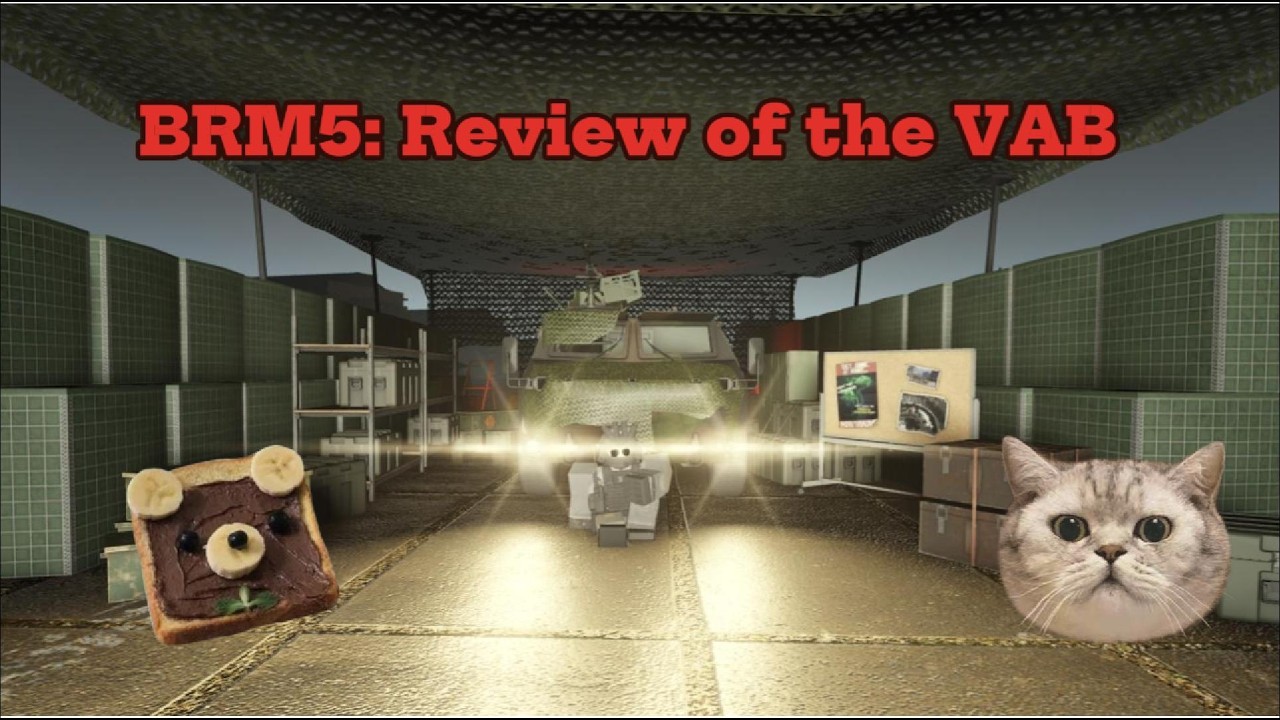 BRM5: Review of the VAB VTT