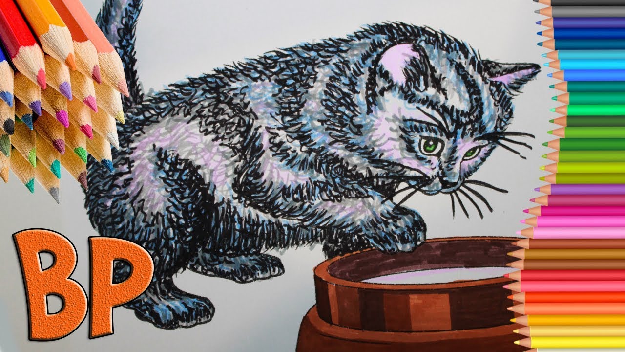 Cat funny Paint a cat Coloring Book Coloring Pages Раскраска Милый котик