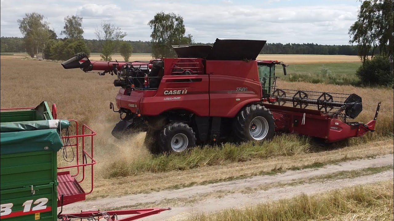 Żniwa rzepakowe 2022 / Case Axial Flow 7250