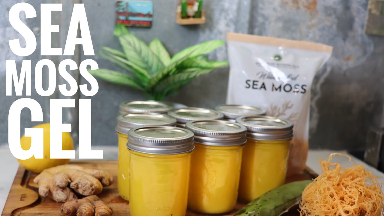 Sea Moss Gel for Beginners(with Aloe Vera, Turmeric, Ginger, & Lemon)