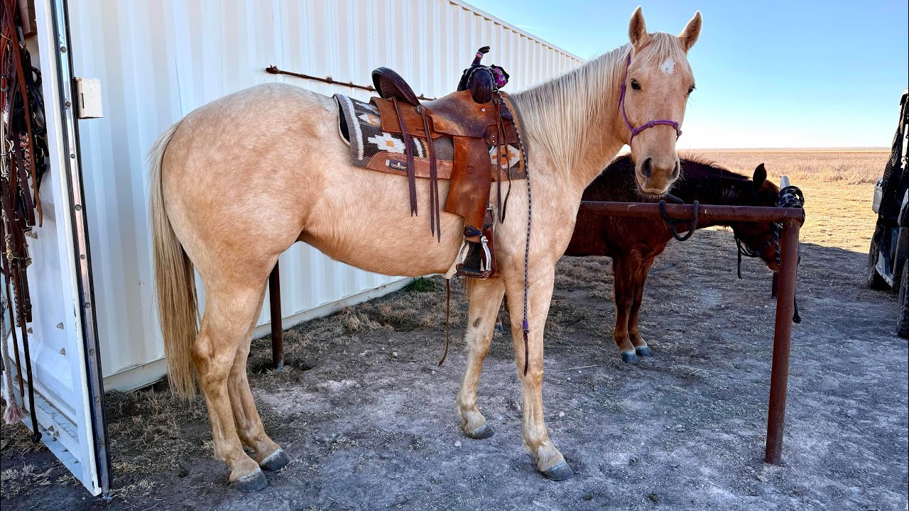 Fame It To Win It (Dutton)