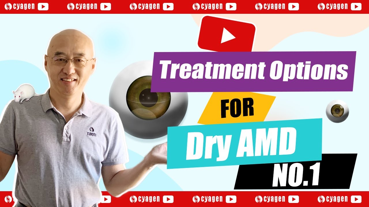 What are the treatment options for dry AMD? | Episode 1