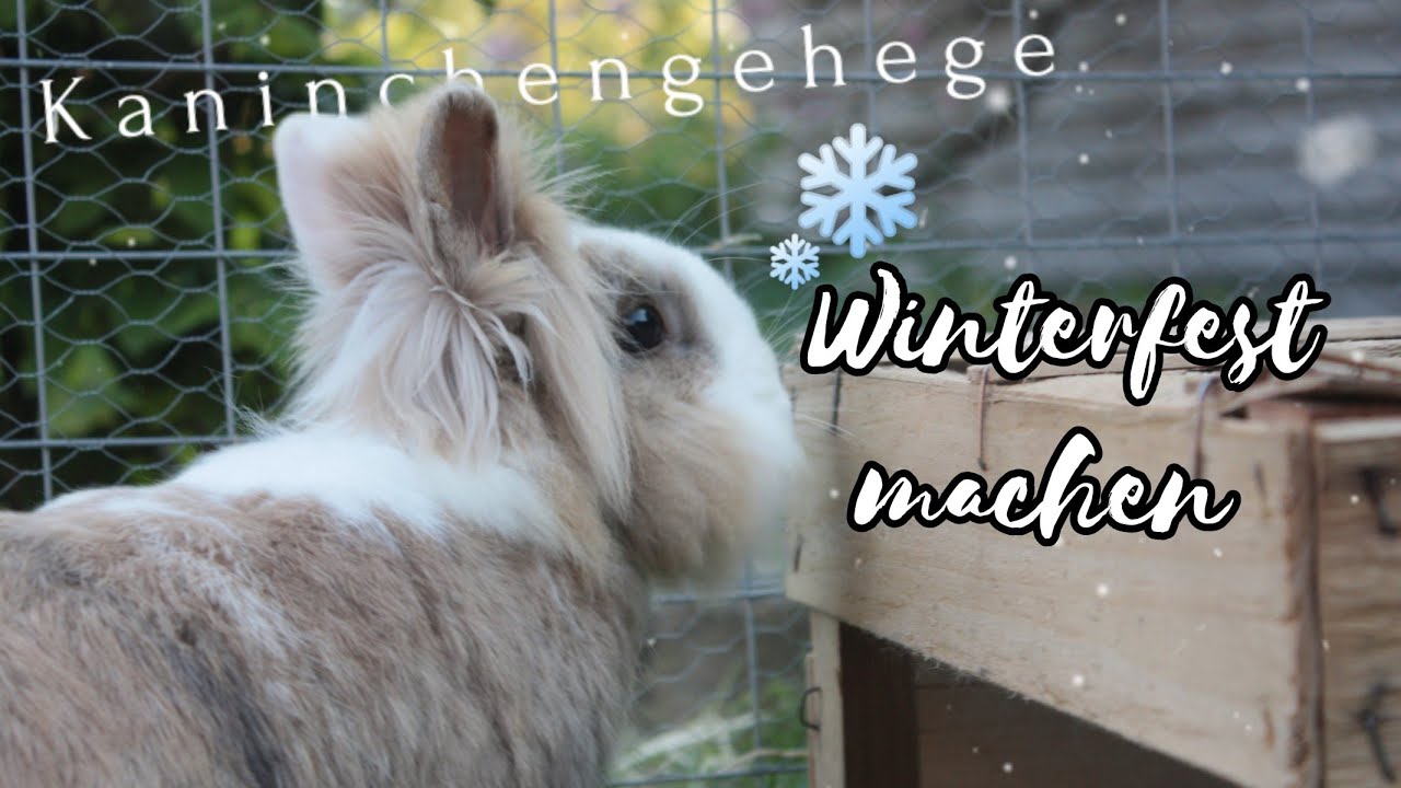 Kaninchengehege winterfest machen ❄️☃️// Kaninchen.Möhrchen