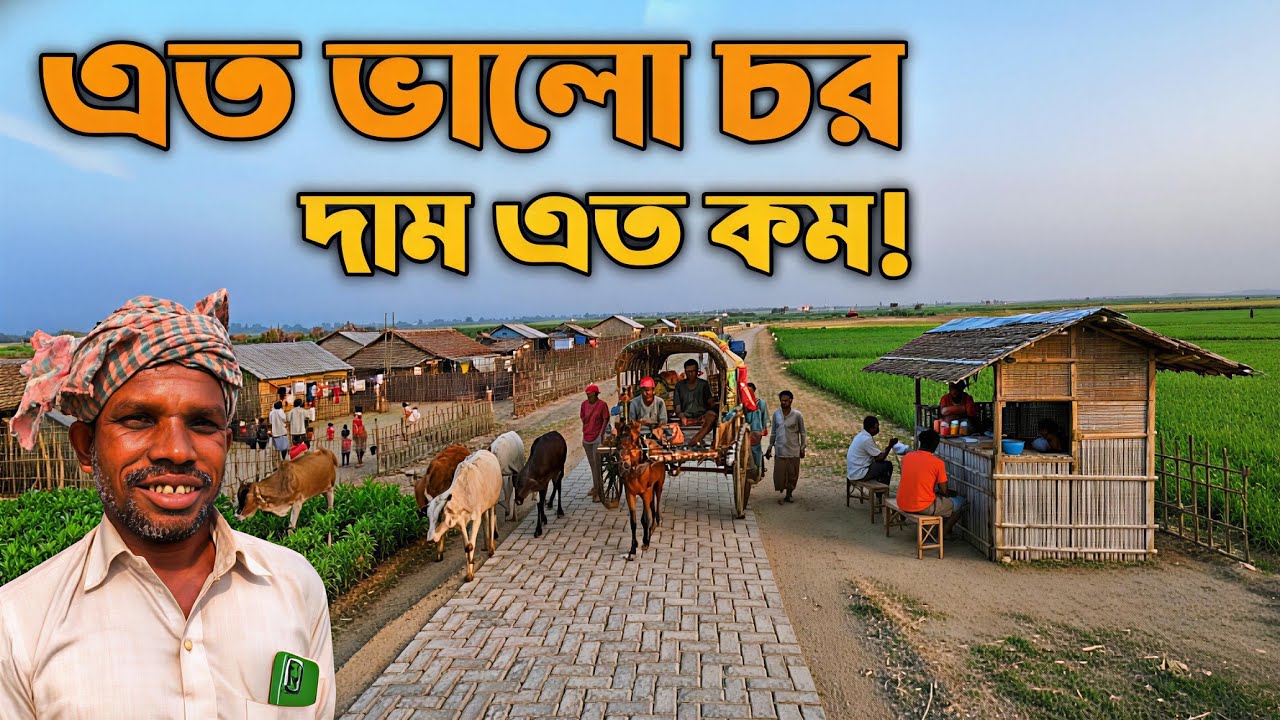 নদীর বুকে উন্নত চর | কম টাকায় জমি, কৃষি ও ভবিষ্যৎ