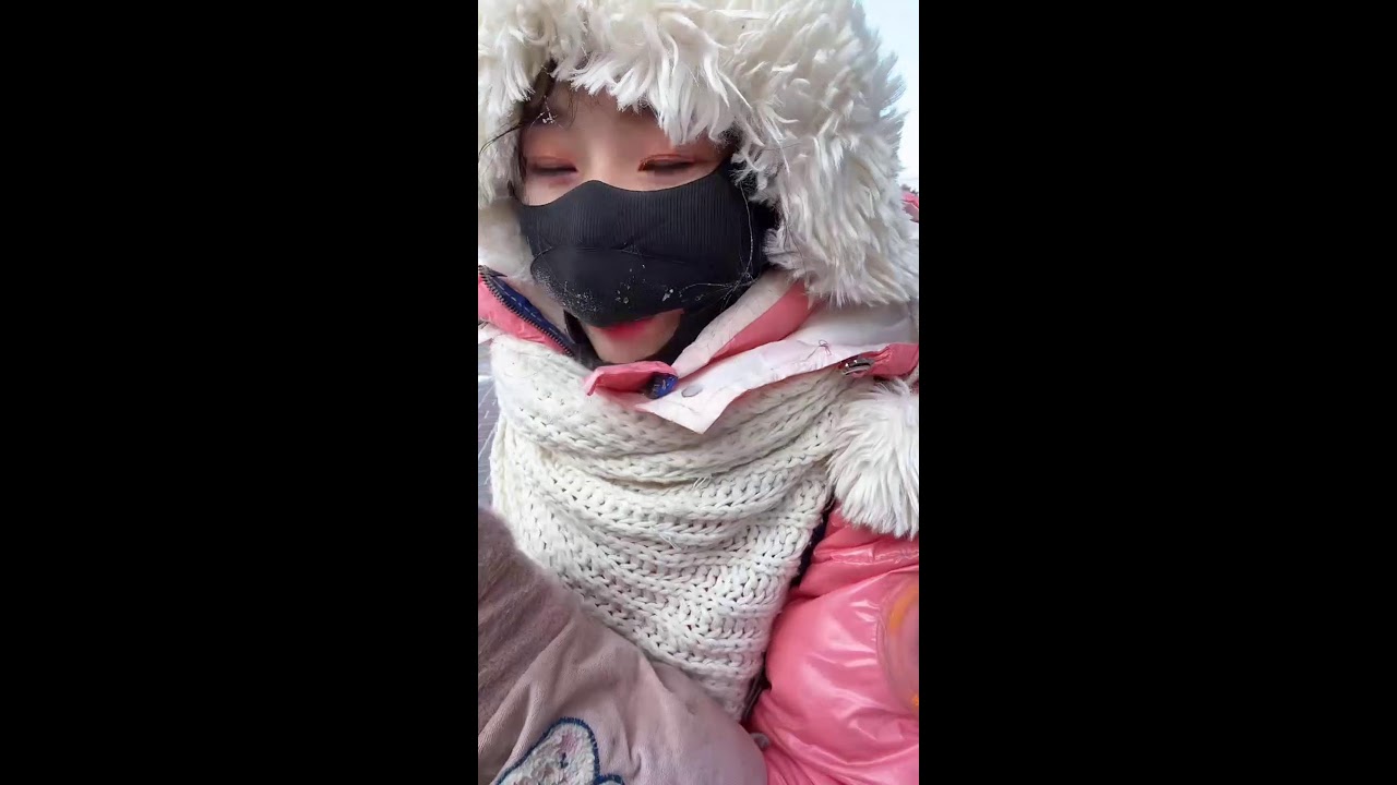 Winter Forest Live｜Feeding Wild Squirrels with Live Narration 🐿️🌲