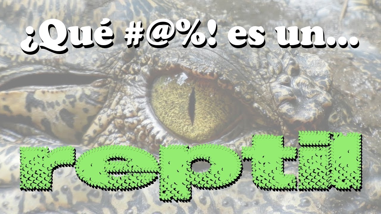 ¿Qué #@%! es un REPTIL?