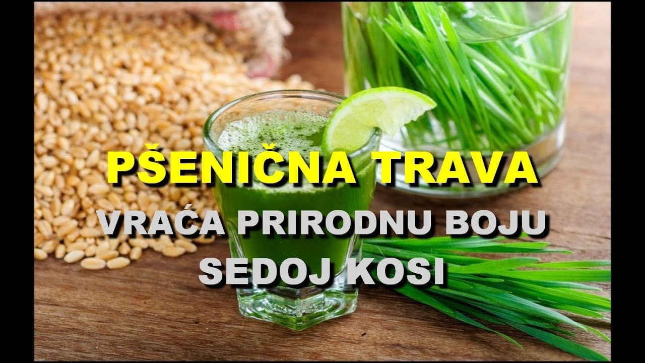 P&Scaron;ENIČNA TRAVA VRAĆA PRIRODNU BOJU SEDOJ KOSI