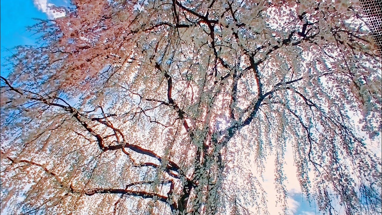 Dreya Love  is live!