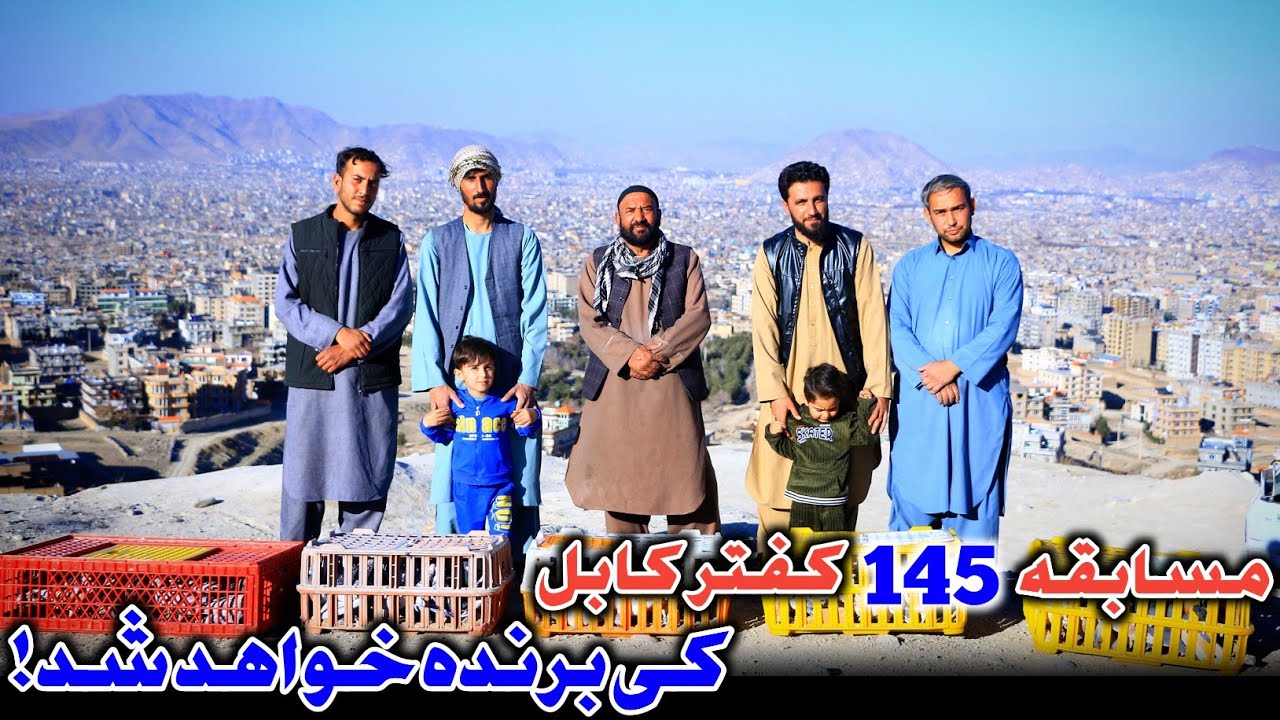  145 کفتر کابل را از فاصله دور رها کردیم..نتیجه همه را حیران ساخت! | 200,000 هزار افغانی ارزش کفترها