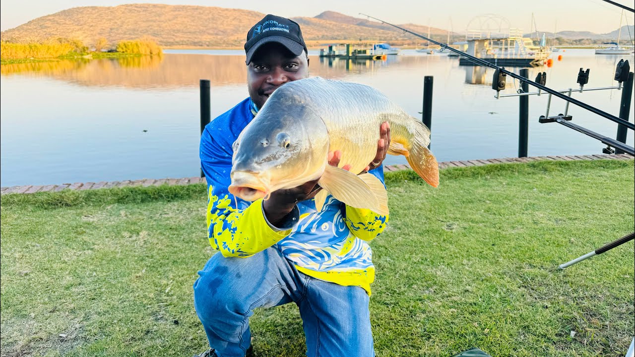We Almost Lost a Big Fish