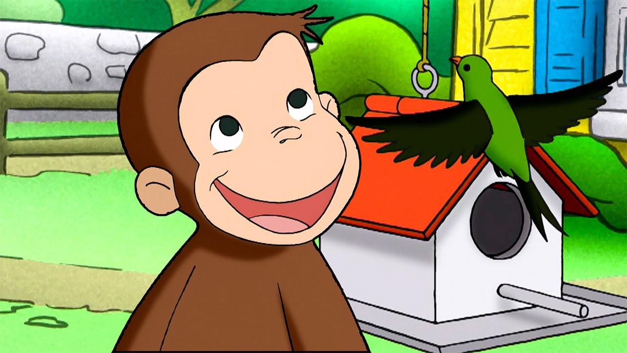 Essa &eacute; a Comida dos P&aacute;ssaros! 🐵 George, o Curioso 🐵 Desenhos Animados