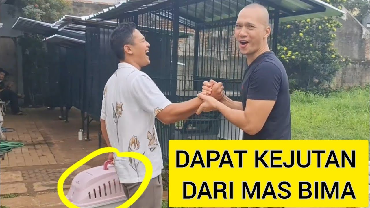 DAPAT KEJUTAN DARI PAPA THE GOLDEN #beemzaryo #thegoldenfamily #singo22bengal