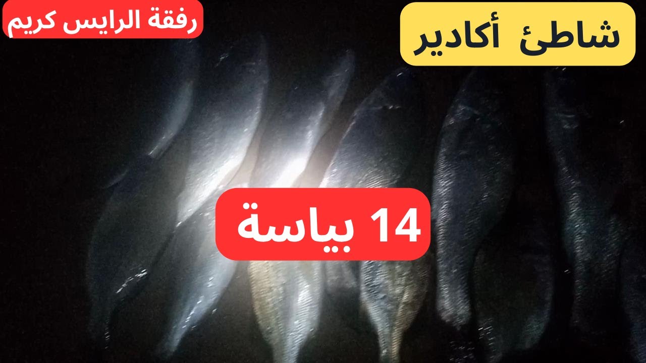 متعة صيد السمك سلايتية في شاطئ اكادير