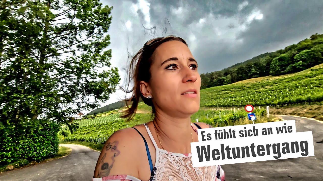 Weltuntergang, Schafe die Traubenblätter fressen und Traubenblüte! | Wein Vlog #364
