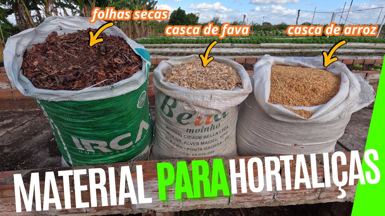 Veja como planto hortaliças.#hortasuspensa