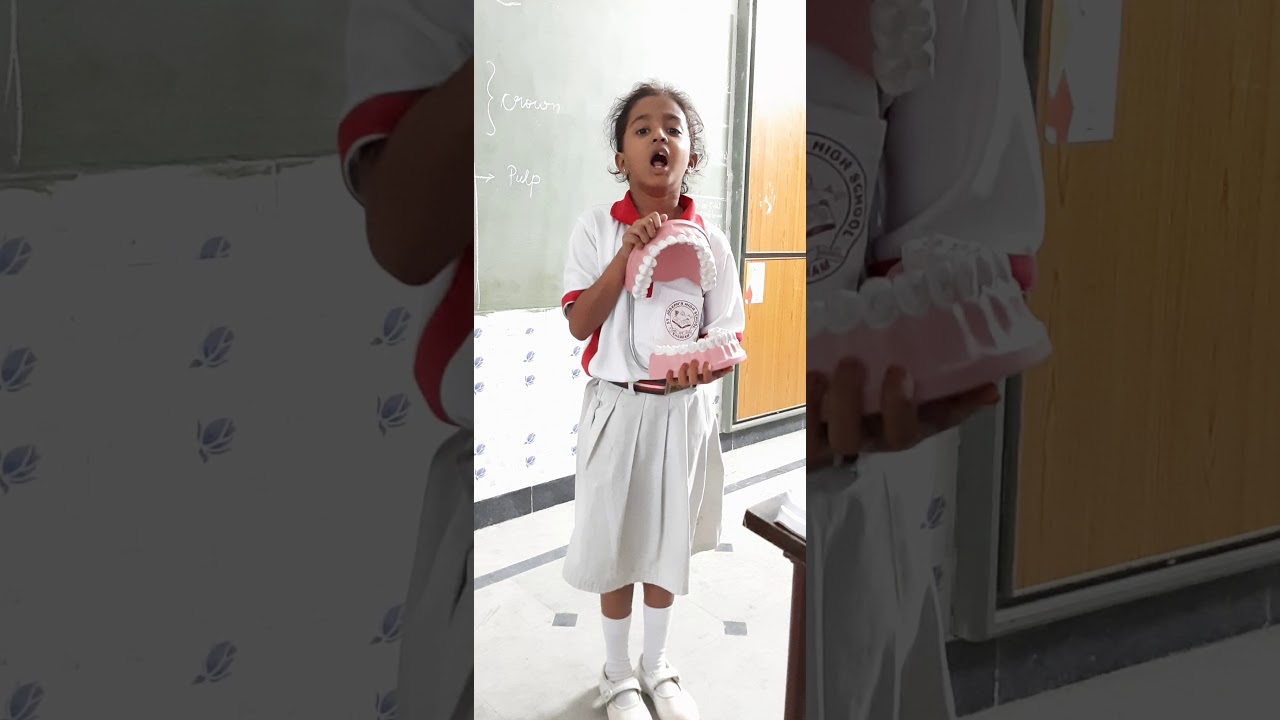 Different types of teeth activity done by IV class student, Stjosephs High School, Khammam