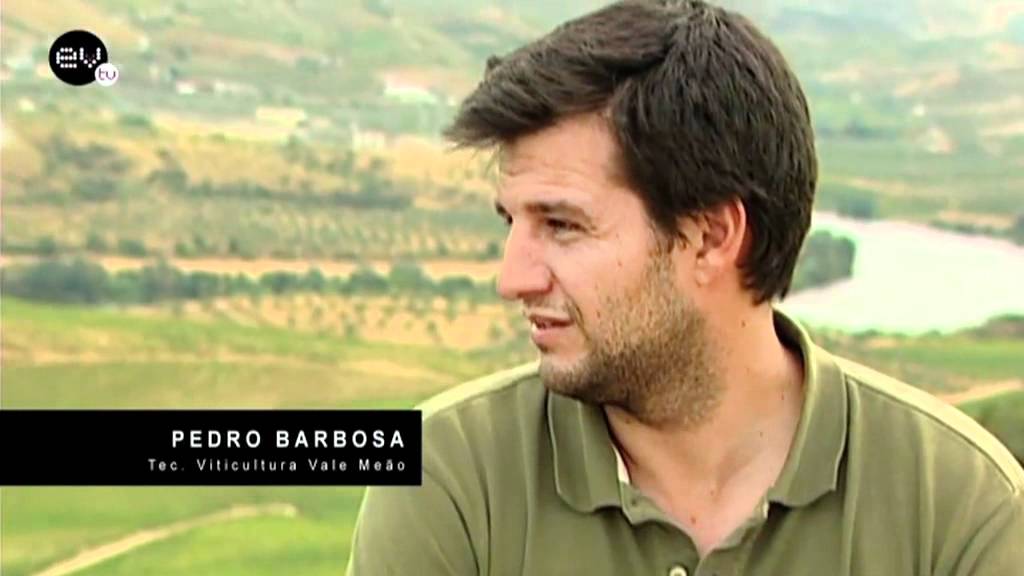 Vale Meão: O novo mito do Douro?