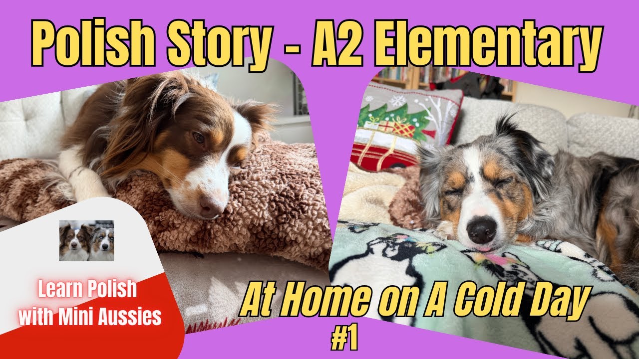Polish A2 Listening Story – At Home on a Cold Day (Elementary) 🐾❄️🇵🇱