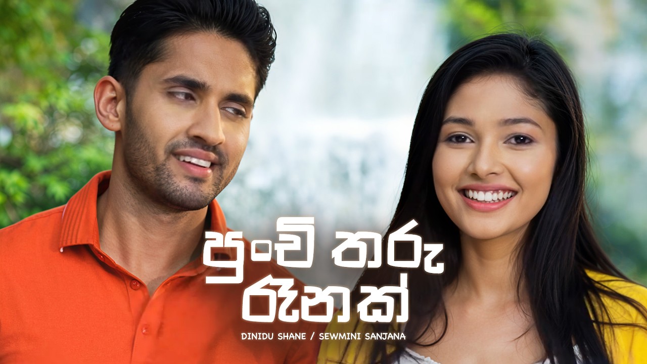 Punchi Tharu Ranak - Dinidu Shane / Sewmini Sanjana | Ae Awidin Teledrama Song | eTunes