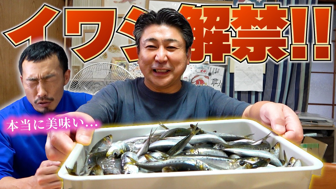 【イワシも豊漁】刺身！塩焼き！照り焼き！まる茹で！？美味しい食べ方はど〜れだ？
