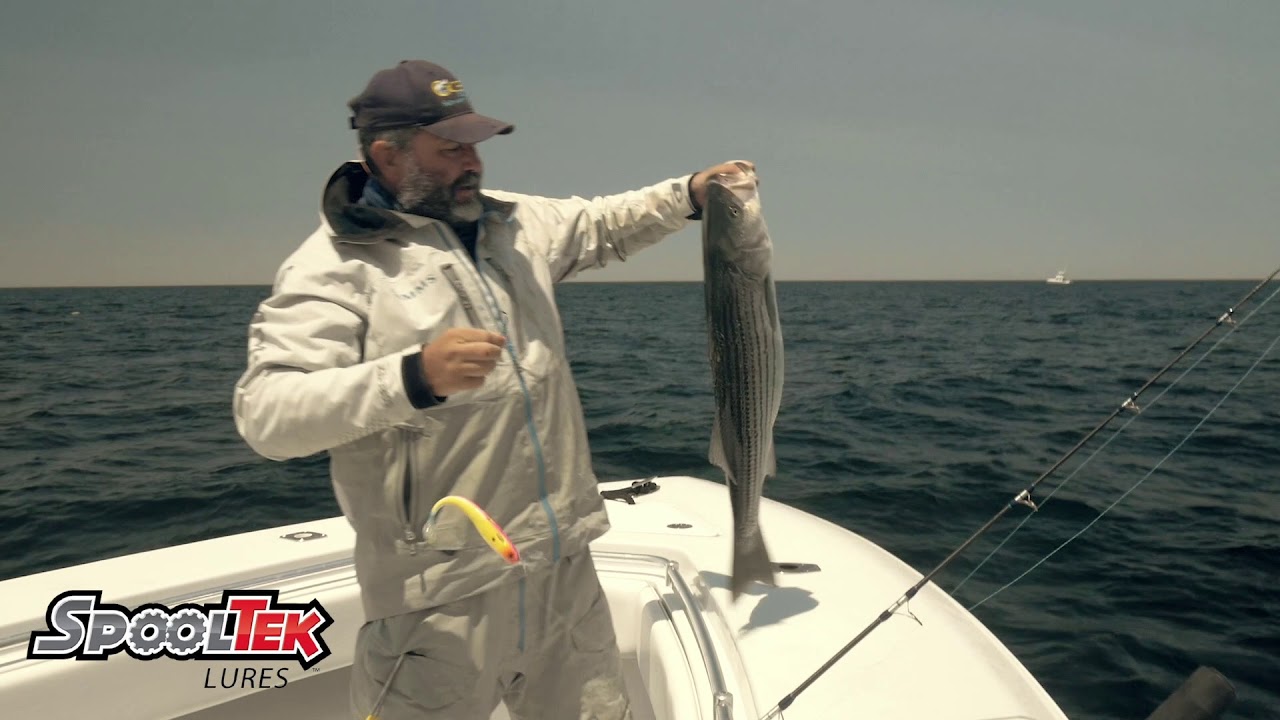 Patrick Sebile & SpoolTek Lures w/ Team Goose.