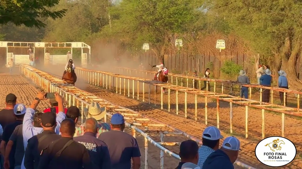 "El Sadico" cuadra pericos 🦜 enero 31 2026