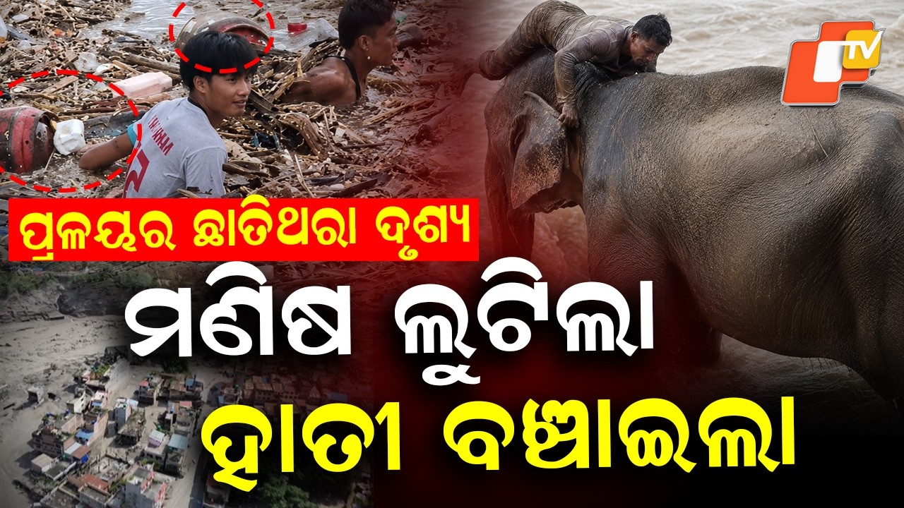 Elephant Saves Man in Flood ! Viral Video | Truth Behind Viral Claims