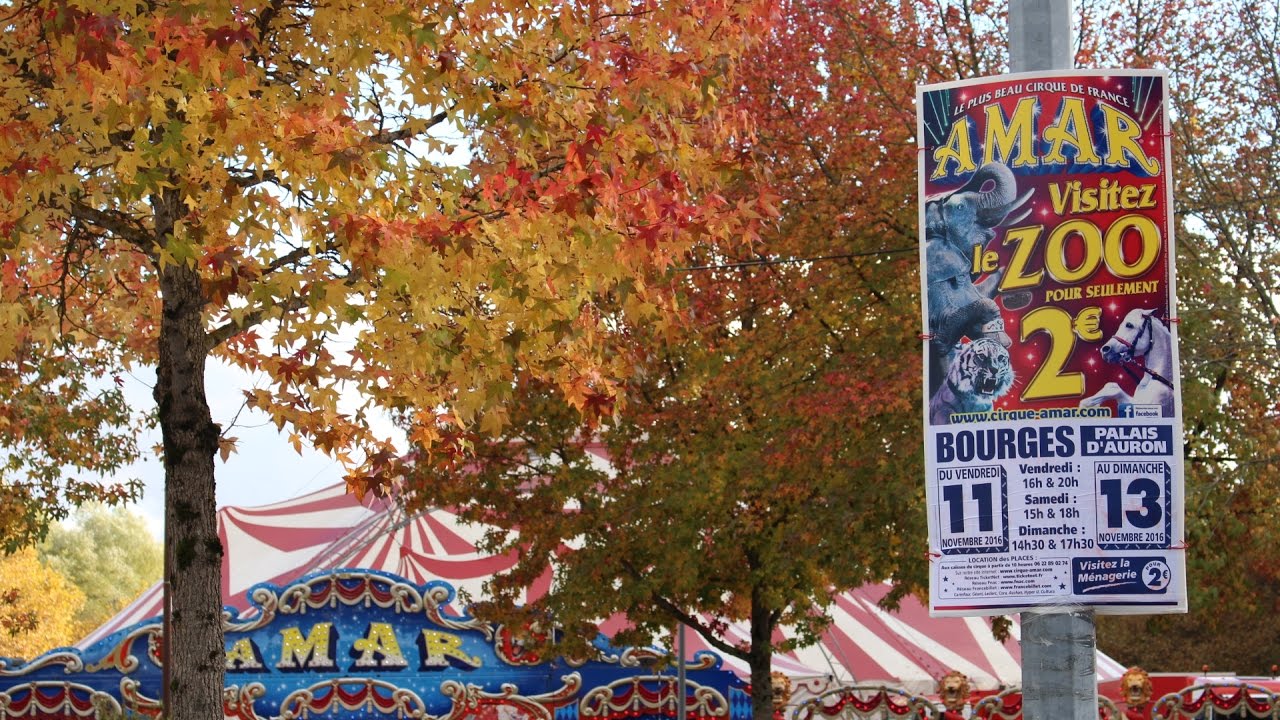 CIRQUE AMAR 2016
