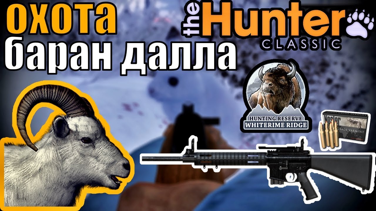 Пошёл На Барана Но Добыл Кучу Зверей The Hunter Classic