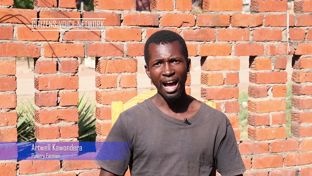 Massive Backyard Poultry Farming in Zimbabwe