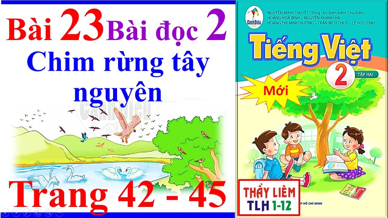 Tiếng Việt Lớp 2 Bài 23 | Chim rừng tây nguyên | Trang 42 - 45 | Cánh Diều | Bài Đọc 2 | Tập 2 | Mới