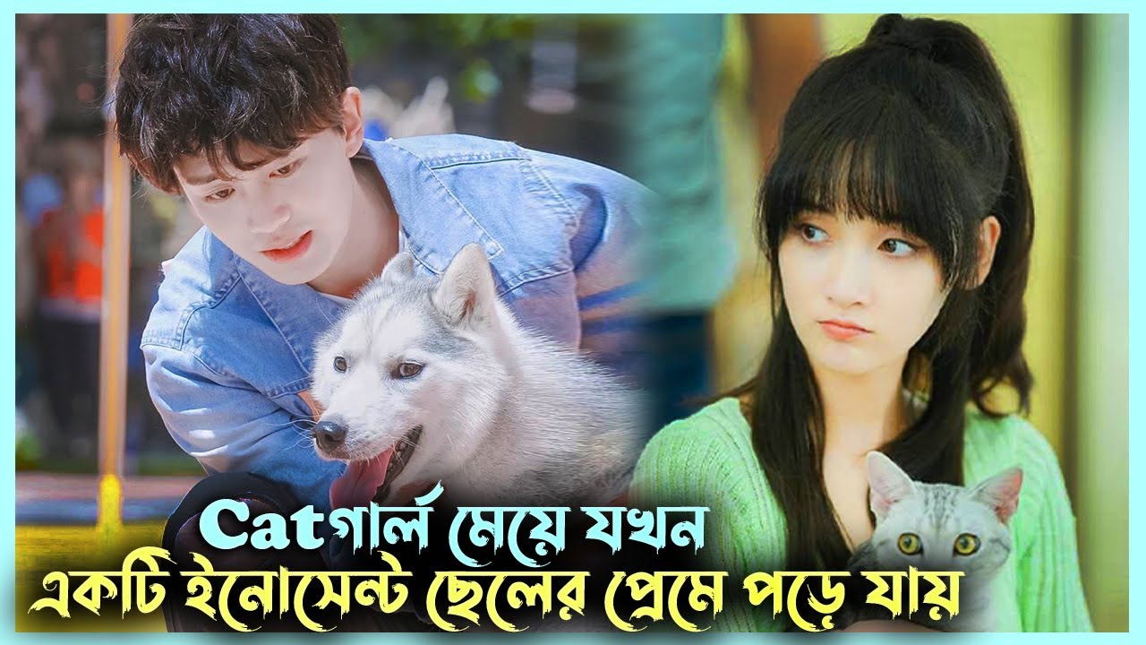 ইনোসেন্টে ছেলেটি একটি Catগার্লের প্রেমে পড়ে💘 | Make a Wish Drama Explain | Korean Drama Explanation