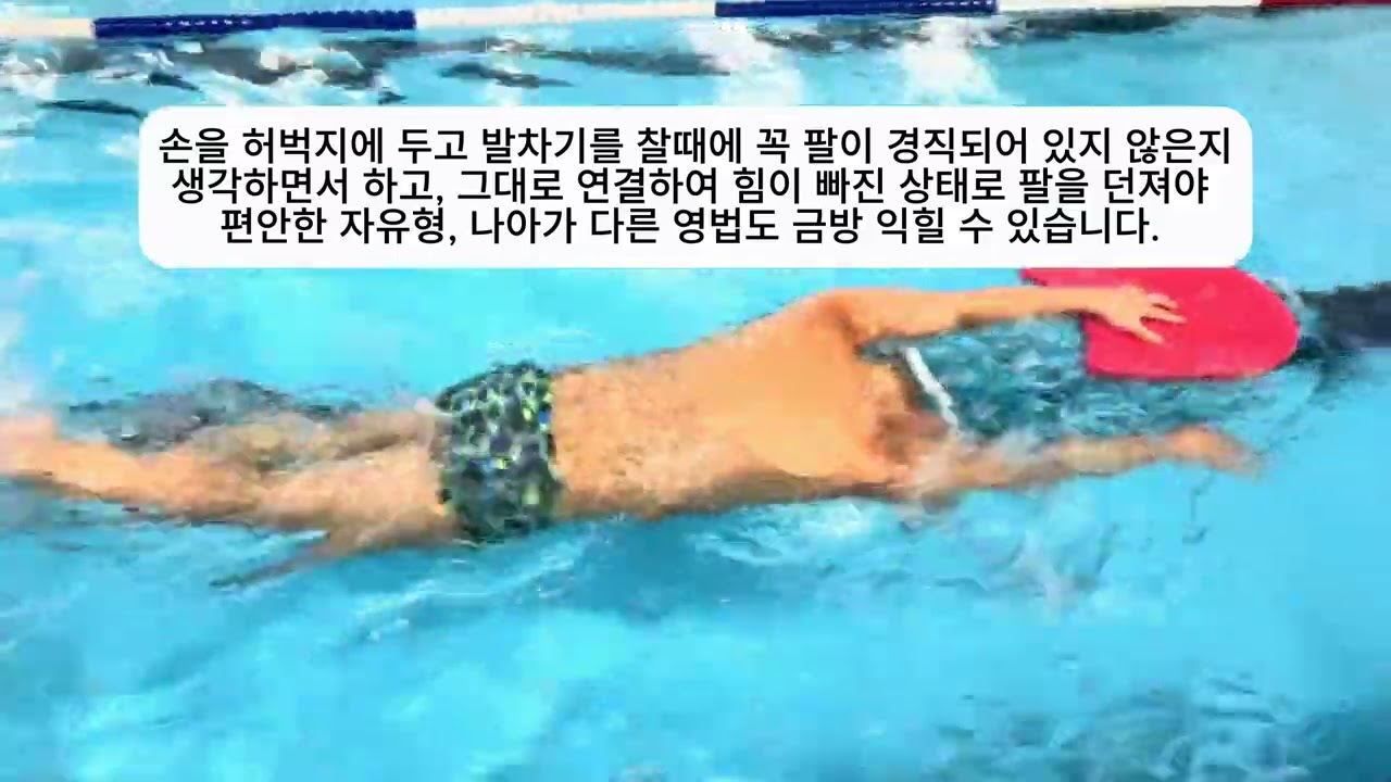 자유형 기초