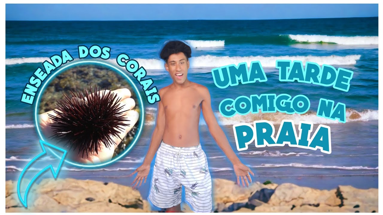 UMA TARDE COMIGO NA PRAIA ENSEADA DOS CORAIS