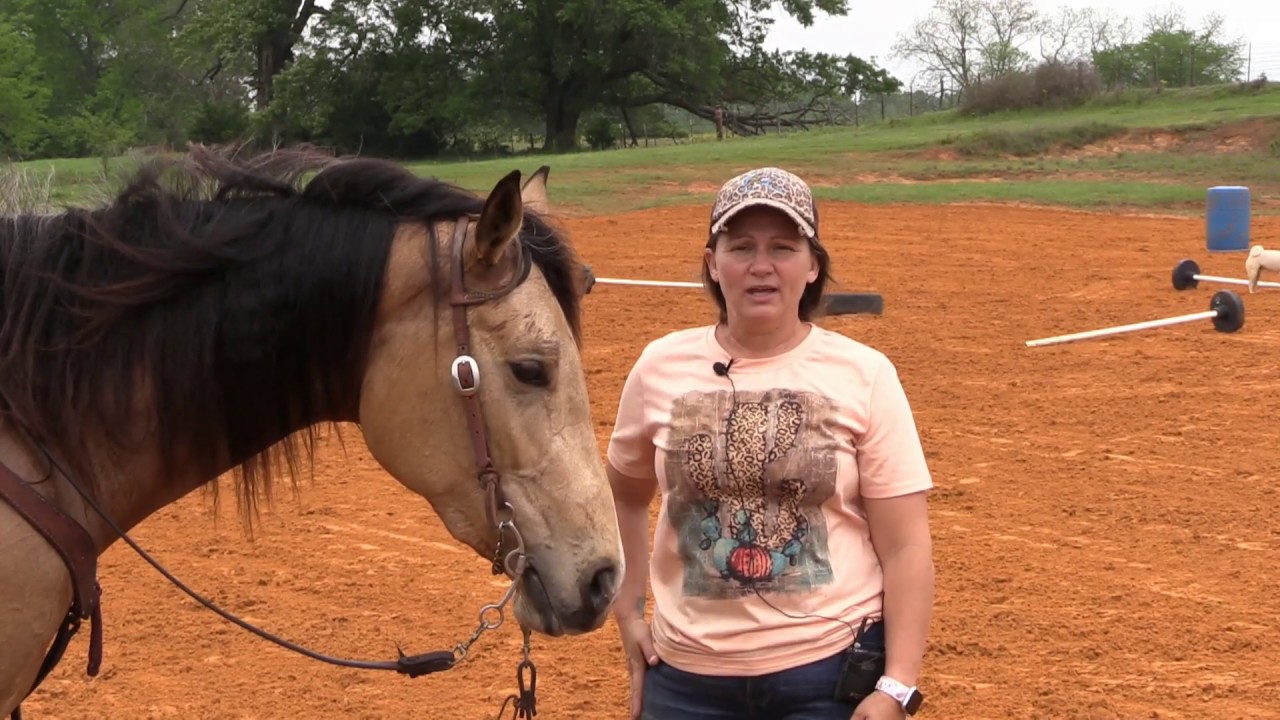 Drills For Your Barrel Horse - The 6 Barrel Exercise