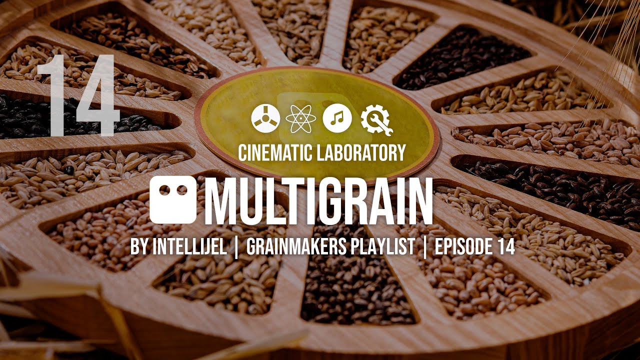 Intellijel MultiGrain |The Grainmakers Playlist | Episode 14