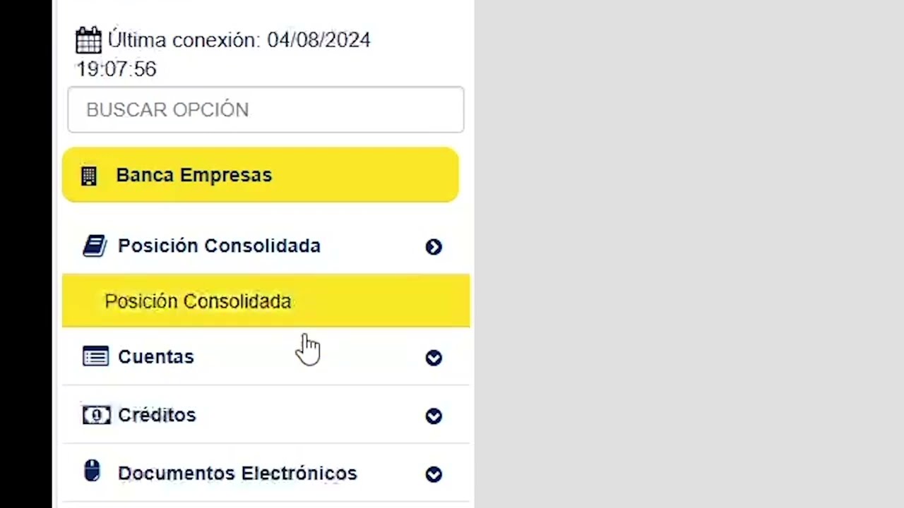 Cash Management Banco Pichincha - Tutorial 2024