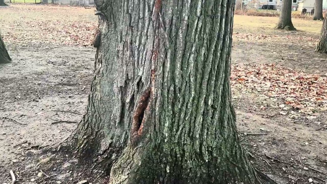 Journaling to Recovery, Christian Meditation, by Margaret Gabriel.