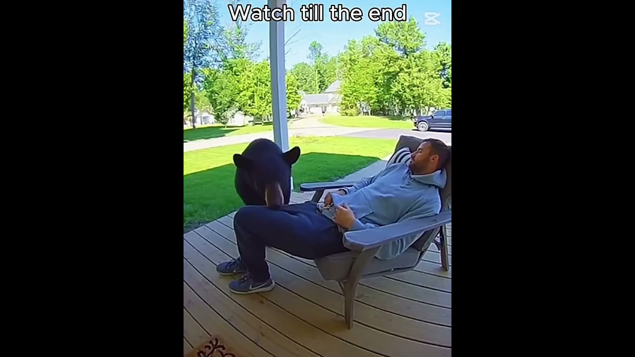 Best Wild Animal Attacks on Porches – Caught on Video!