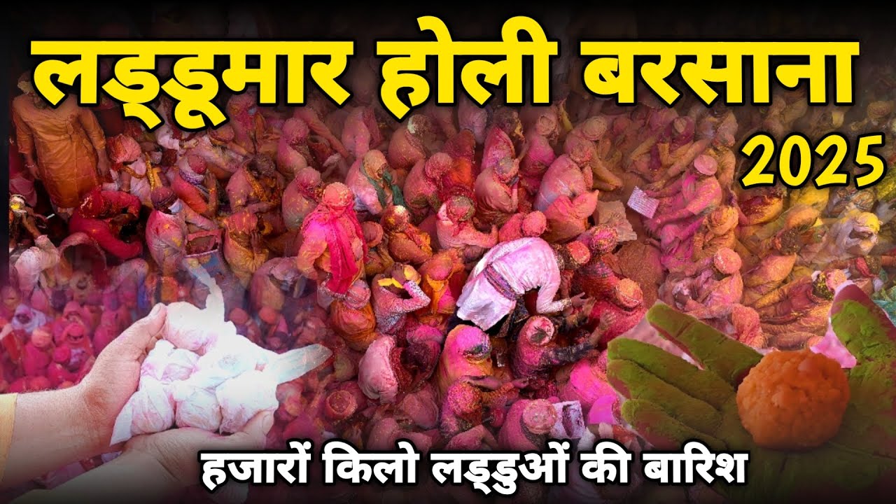 laddu holi: लड्डूमार होली बरसाना 2025, बरसाना में लड्डू ही लड्डू laddu mar holi braj darpan