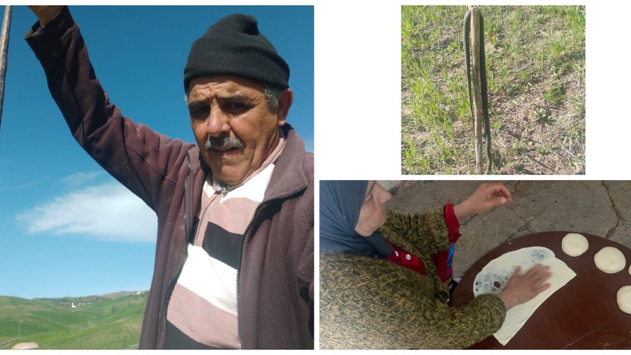 الواليدمسكين منع على شوية 😭كان عضو حنش🐍 ليخليه لينا 🤲هدي هيا أجواء البادية 🌸 لواليدة درت لينا لملاوي