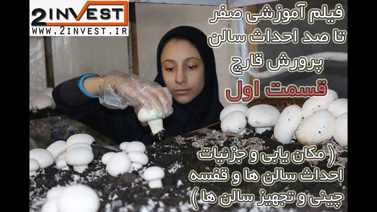آموزش پرورش قارچ خوراکی ( مکان یابی واحداث سازه و سالن تولید قارچ ) قسمت اول + طرح توجیهی