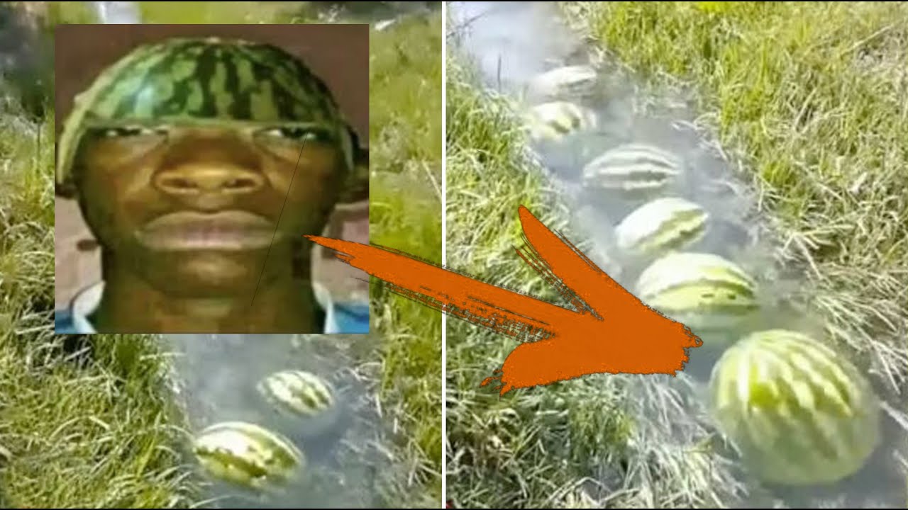 WATERMELON RIVER MEME COMPILATION
