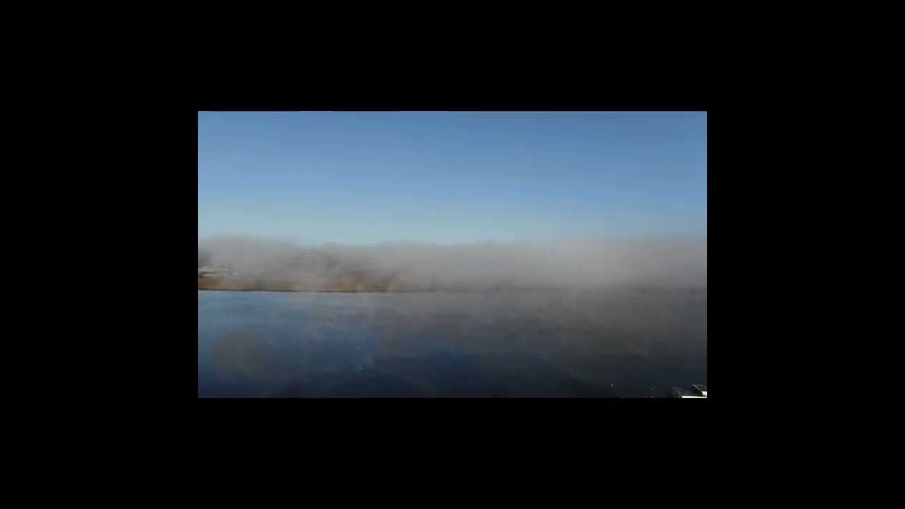 Fog over the Willapa movie #shorts