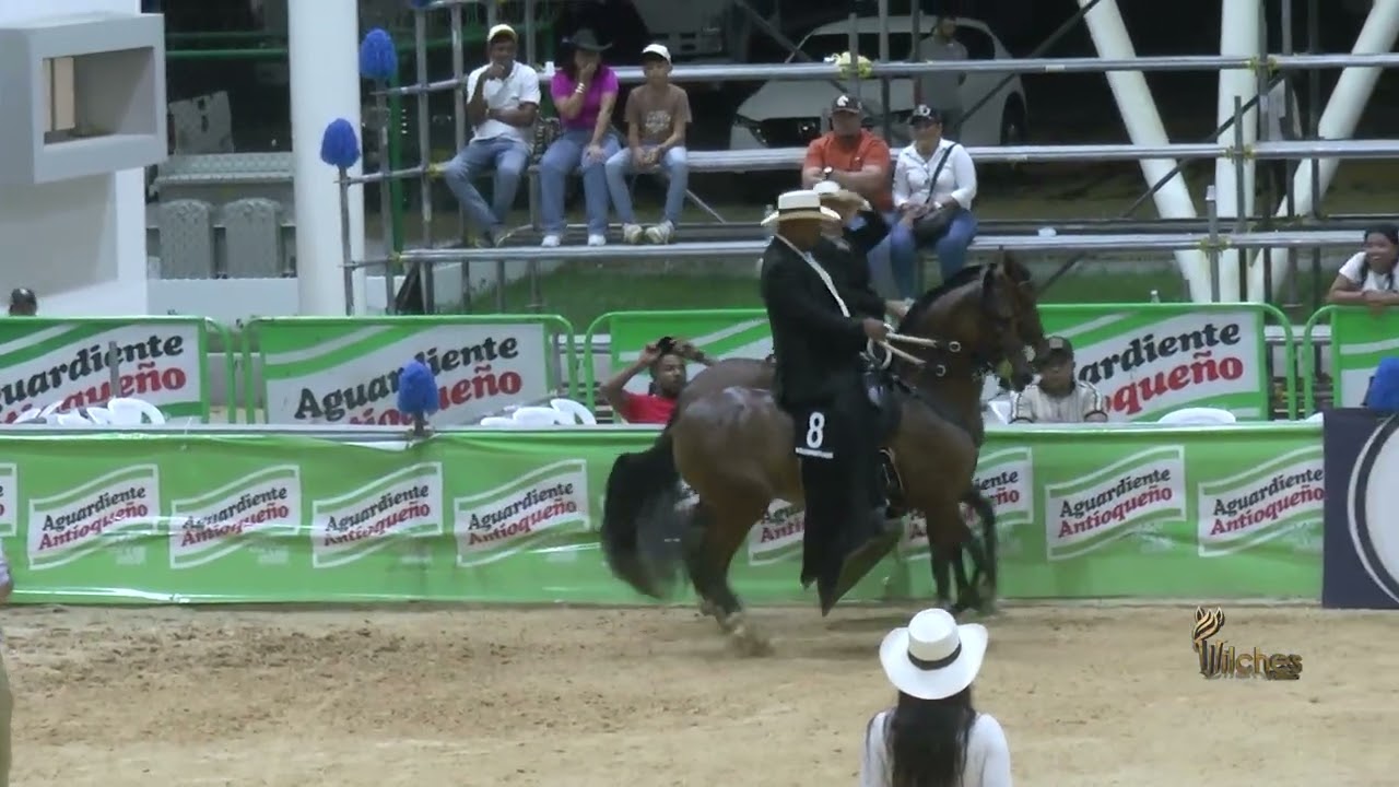 CRISTAL DEL CLARO, SEGUNDO PUESTO CAMPEONATO JOVEN TROTE Y GALOPE EXPO ARJONA GRADO B 2026