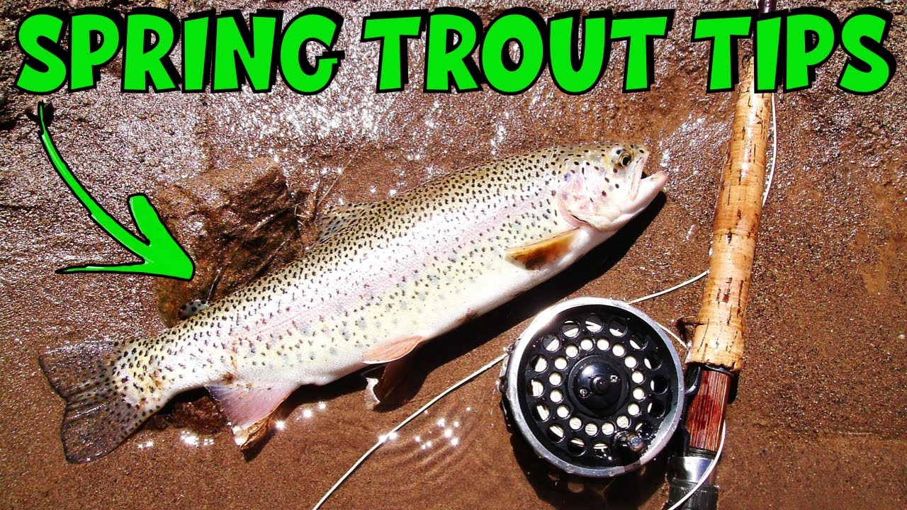 Top 10 Early Spring Trout Fishing Tips
