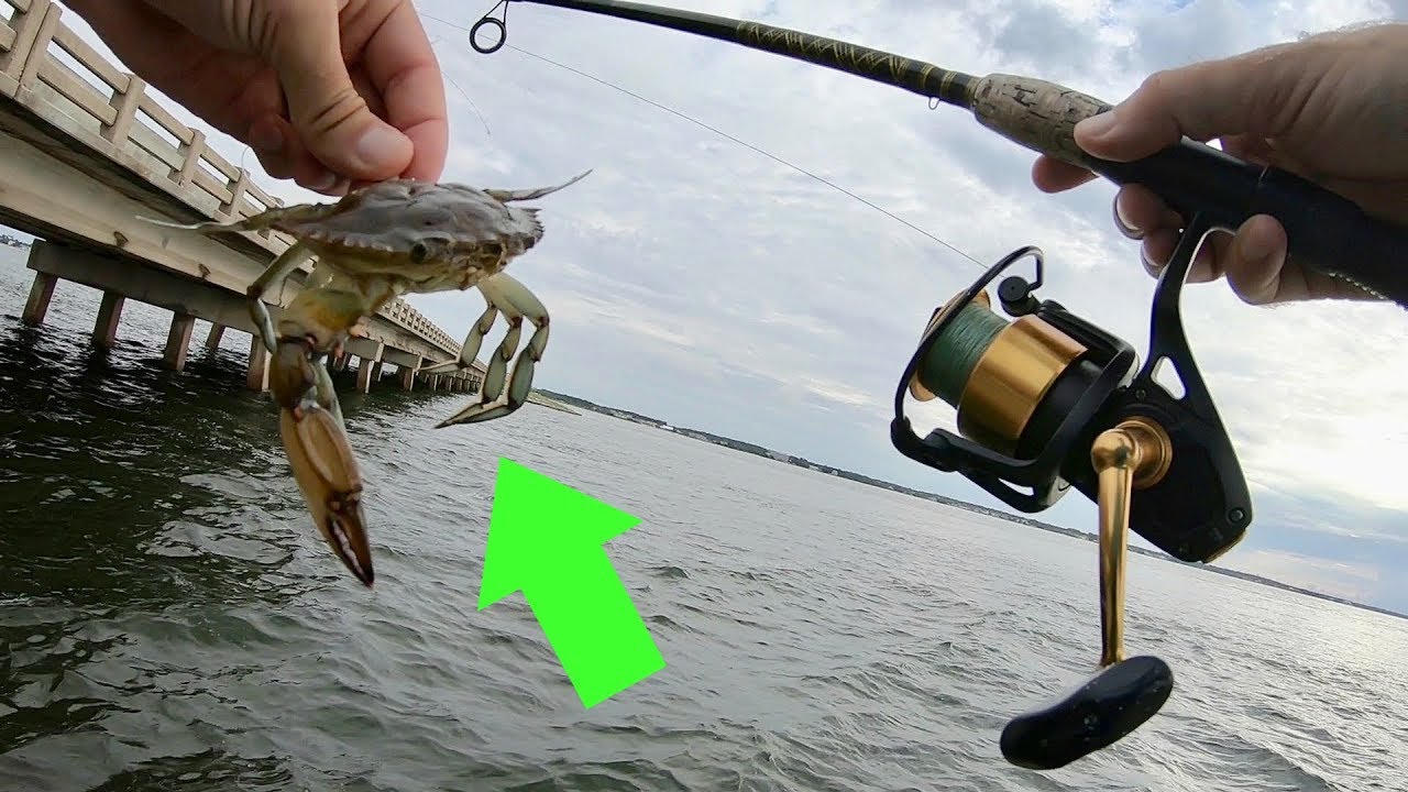 Using Big blue crabs for More Bridge Monsters