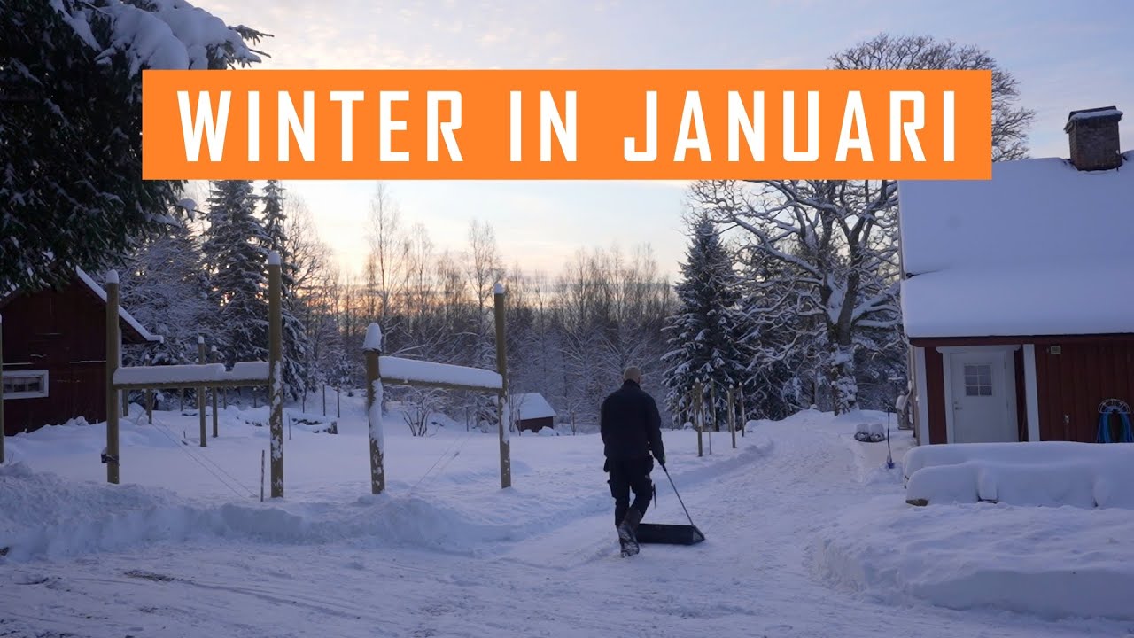 We gaan puin ruimen & nog meer sneeuw..!